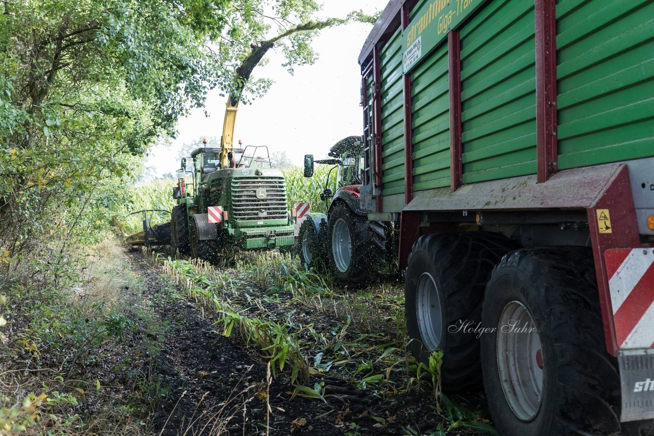 Bild 186 - Maisernte